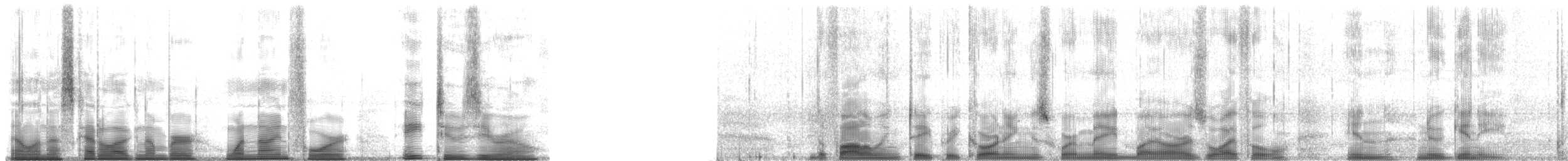 White-lipped Tree Frog - ML194820