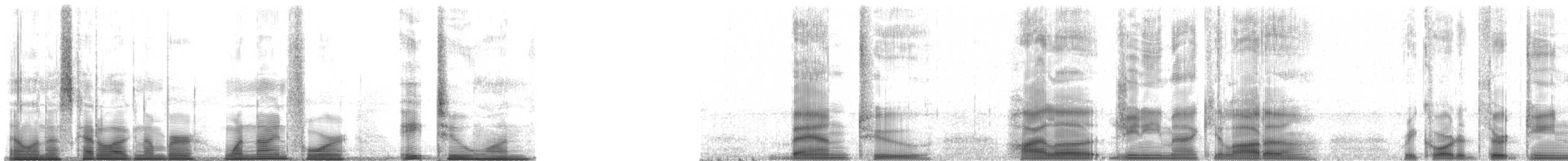 White-lipped Tree Frog - ML194821