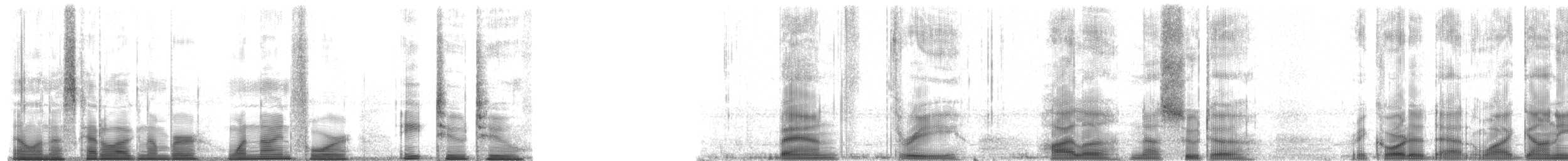 Striped Rocket Frog - ML194822