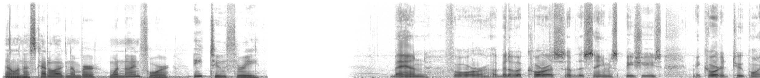 Striped Rocket Frog - ML194823