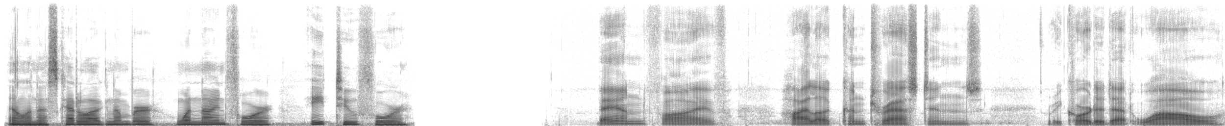 Barabuna Tree Frog - ML194824