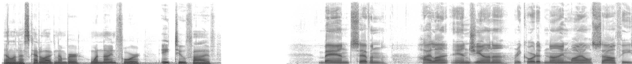 Angiana Tree Frog - ML194825