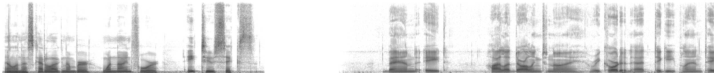 Barabuna Tree Frog - ML194826