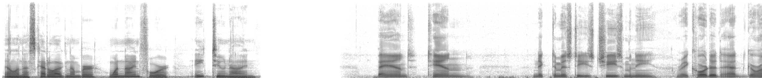 Cheesman's Big-eyed Tree Frog - ML194829