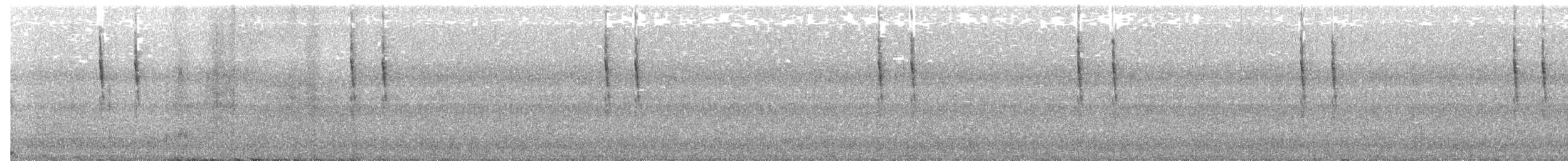 Troglodyte de Baird - ML194832641