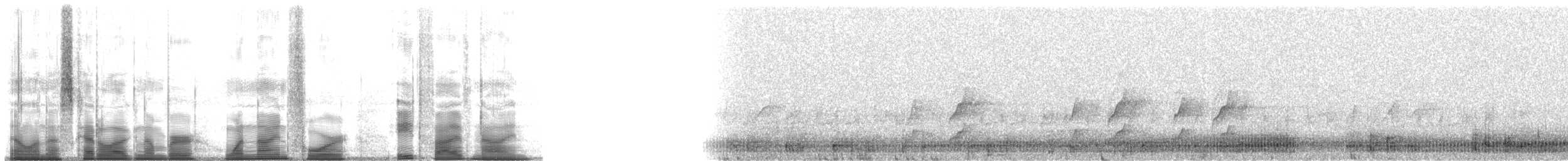 Andean Marsupial Frog - ML194859