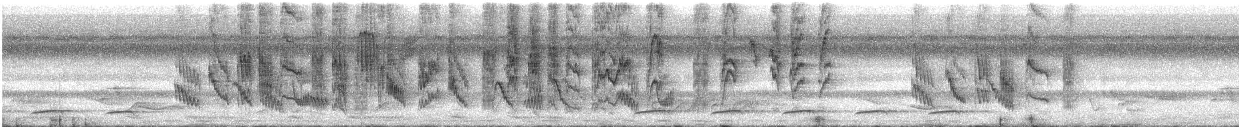 ウスチャヒタキ - ML194861361
