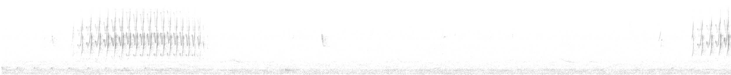 Sivri Gagalı Sepetören - ML194866111