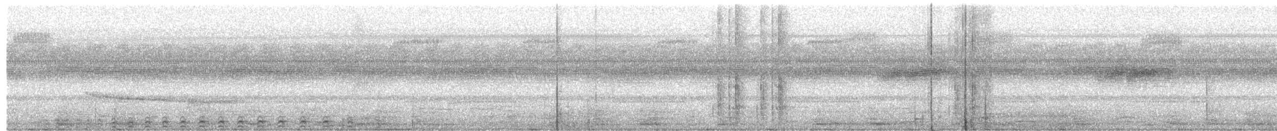 Pacific Screech-Owl - ML194909491