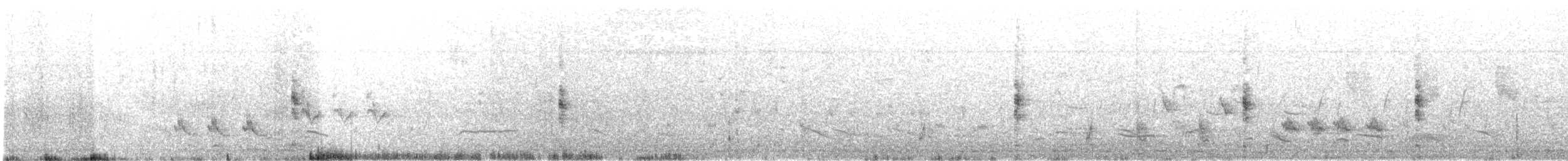 Râle à poitrine grise - ML194918151