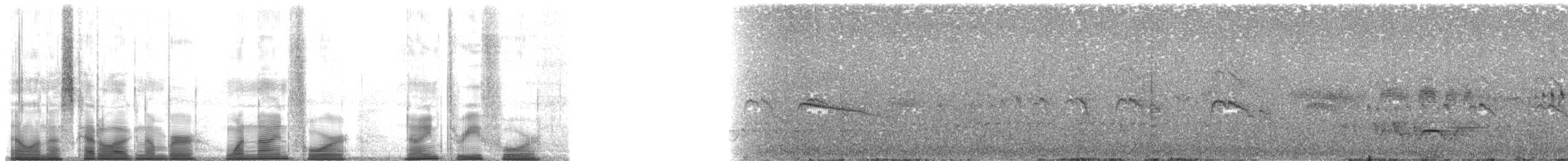 storsvaleseiler - ML194934