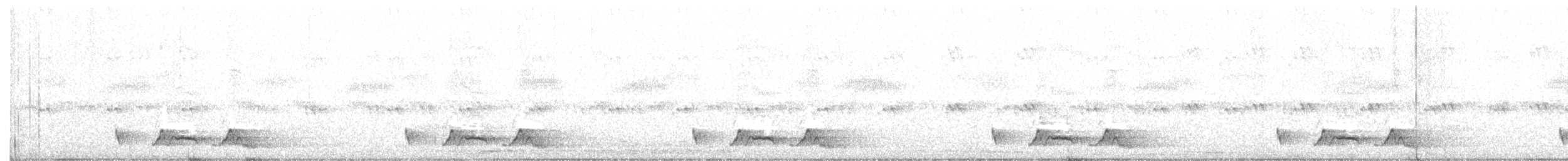 Chuck-will's-widow - ML194934801