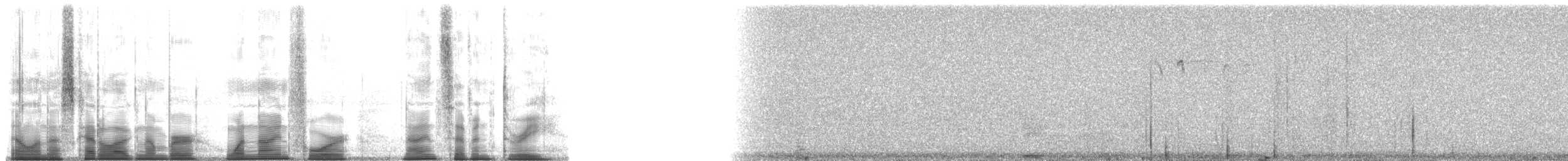 Sizerin flammé (exilipes) - ML194973