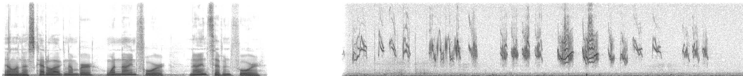 Sizerin flammé (exilipes) - ML194974