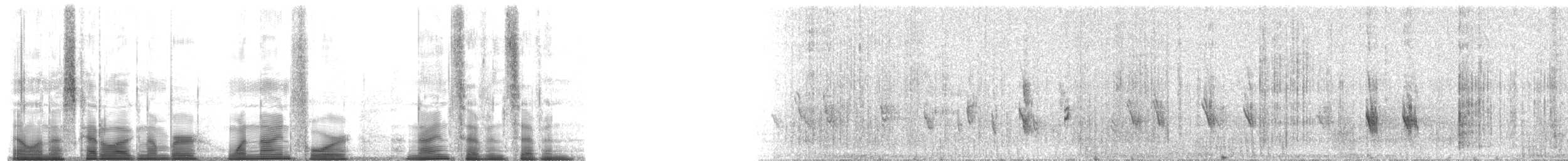 Sizerin flammé (exilipes) - ML194977