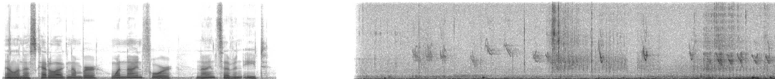 Sizerin flammé (exilipes) - ML194978