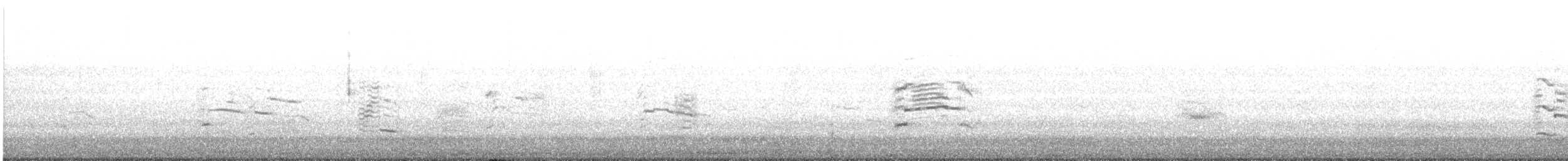 Делавэрская чайка - ML195099031