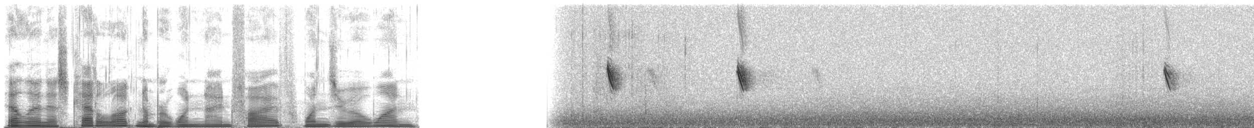 Golden Swallow - ML195101