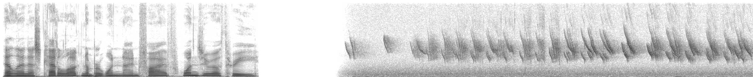 Golden Swallow - ML195103