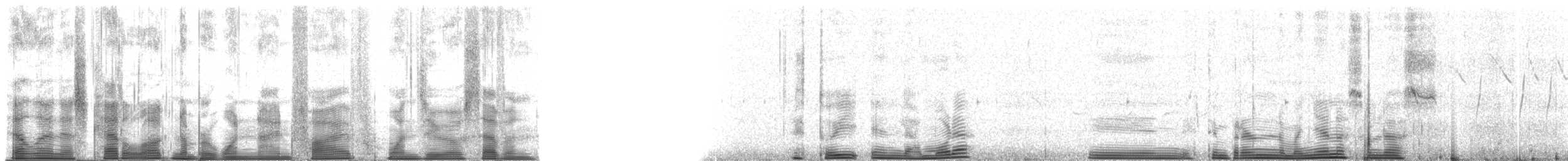 Antillenschwalbe - ML195107