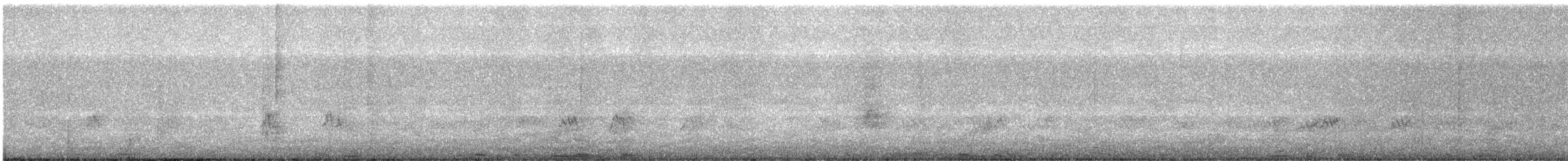 Синехвостая щурка - ML195140211