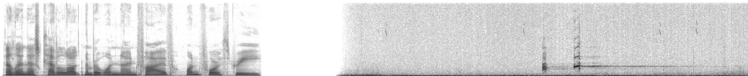 Andean Ibis - ML195143