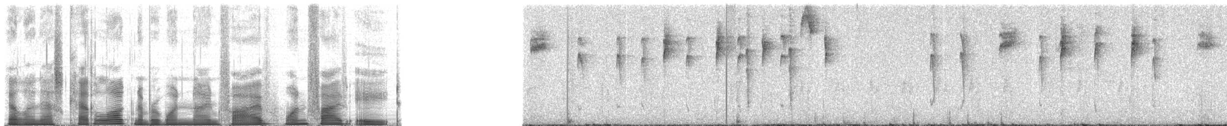 Kara Takkeli Hemispingus (auricularis) - ML195158