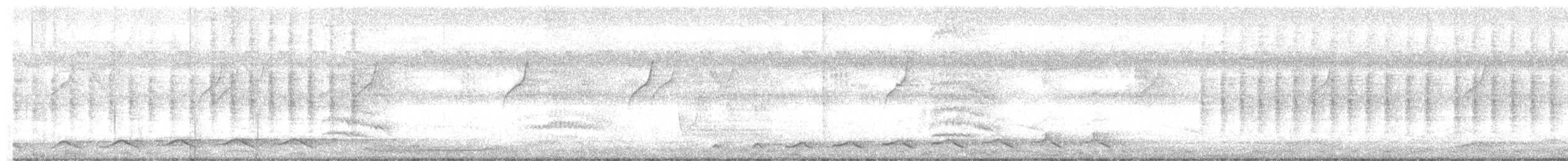 Сибирский жулан (cristatus/confusus) - ML195186471