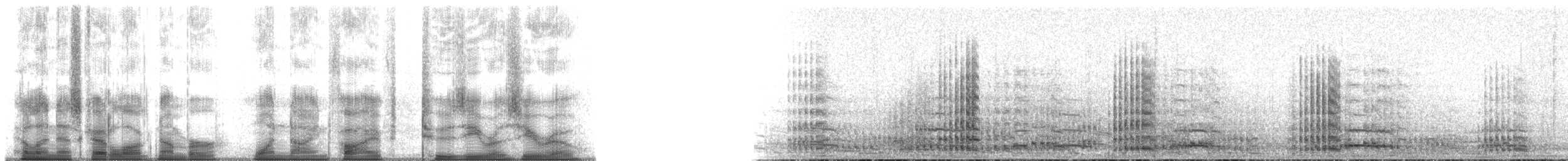 Sandhill Crane (Lesser) - ML195200