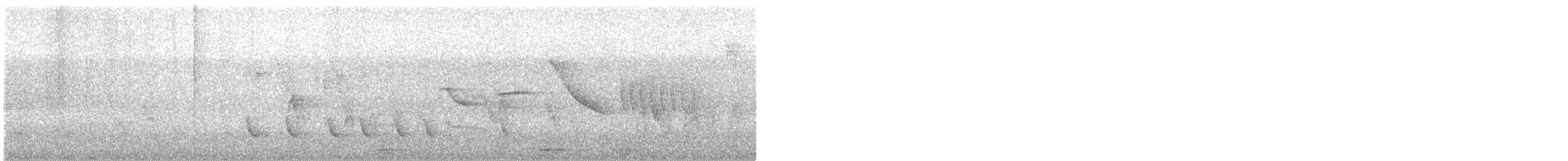 hvitvingebekard - ML195203991