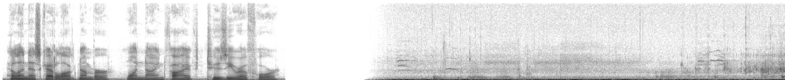 Harbor Seal - ML195204