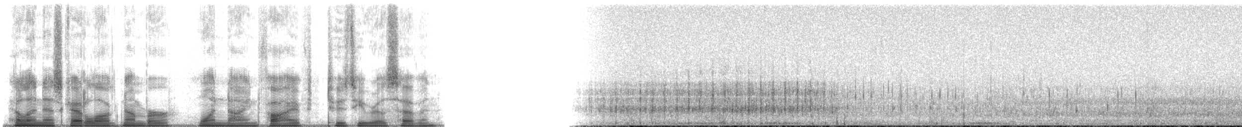 Surf Scoter - ML195207