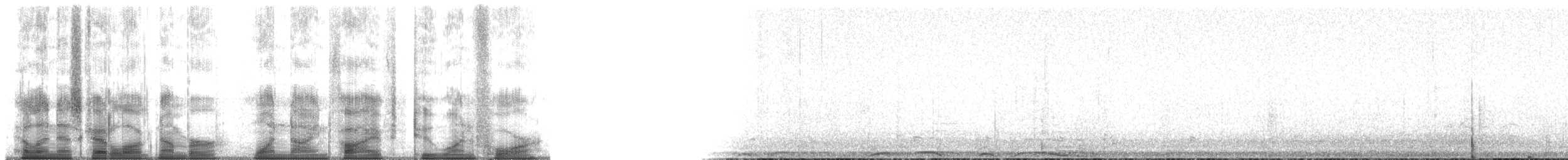 Barred Owl - ML195214