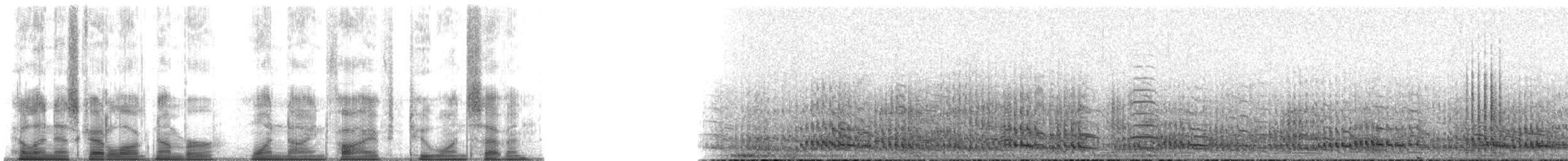 Sandhill Crane (Lesser) - ML195217