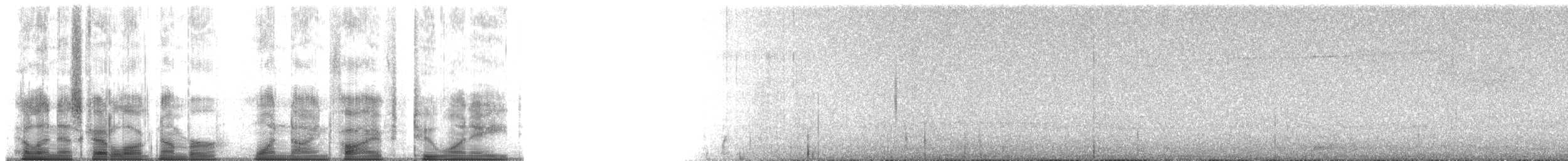 Townsend's Warbler - ML195218