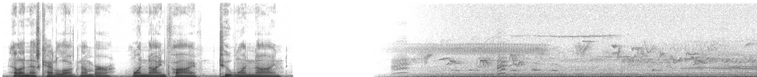 Clark's Nutcracker - ML195219