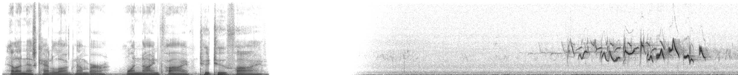 Western Warbling Vireo - ML195225