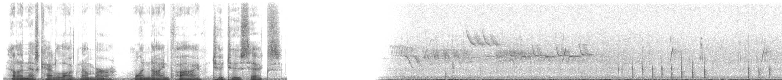 Red-naped Sapsucker - ML195226