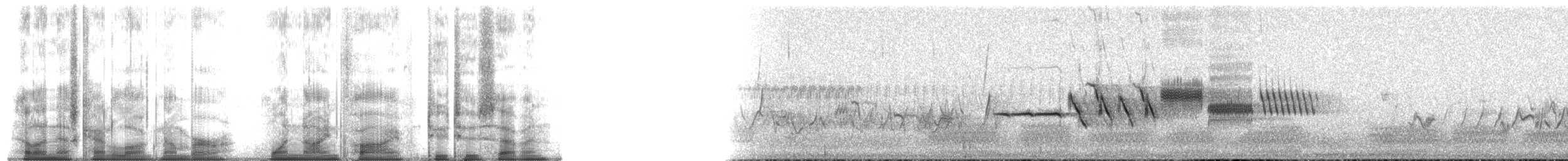 גיבתונית לבנת-כיפה - ML195227