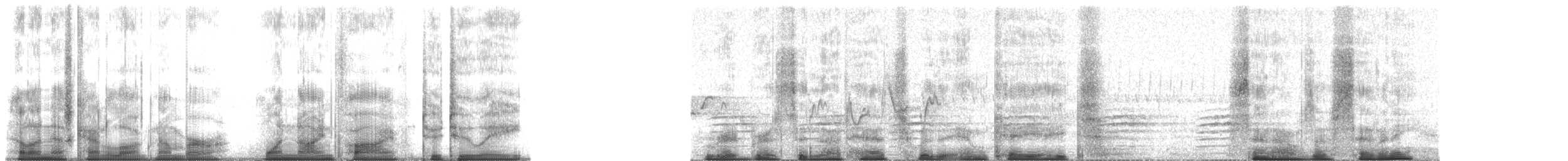 סיטה קנדית - ML195228