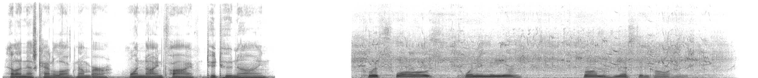 סנונית אמריקנית - ML195229