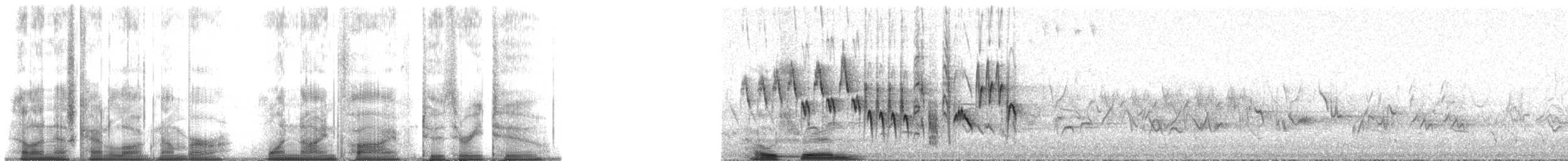 Northern House Wren (Northern) - ML195232