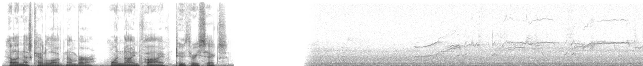 American Goshawk - ML195236