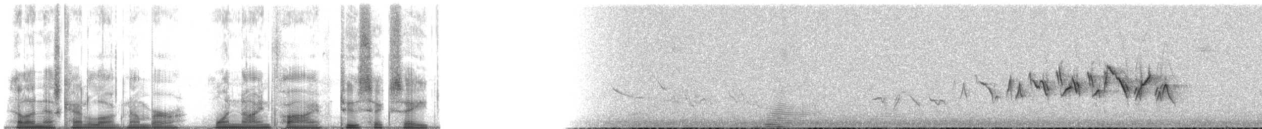 Paruline à croupion jaune (goldmani) - ML195268