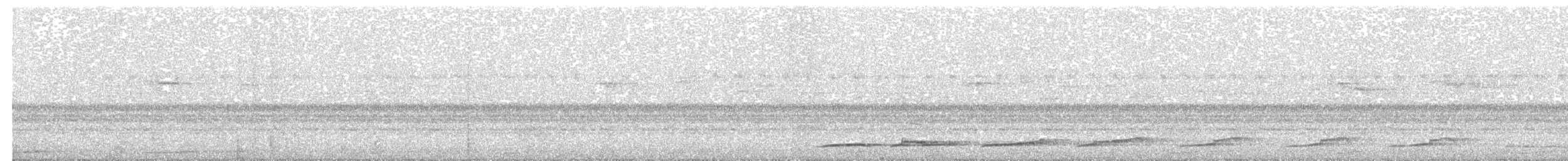 Oriental Bay-Owl - ML195278331