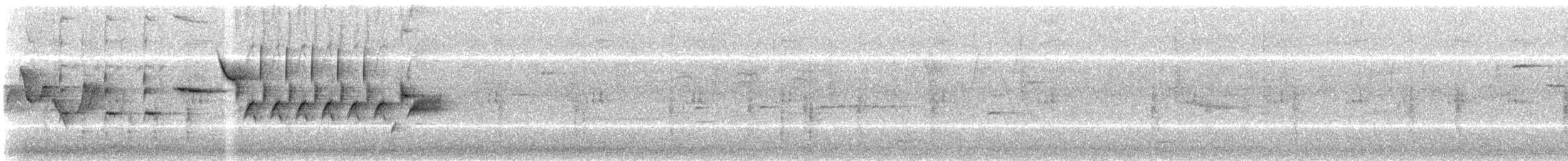 גיבתונית רוננת - ML195286661