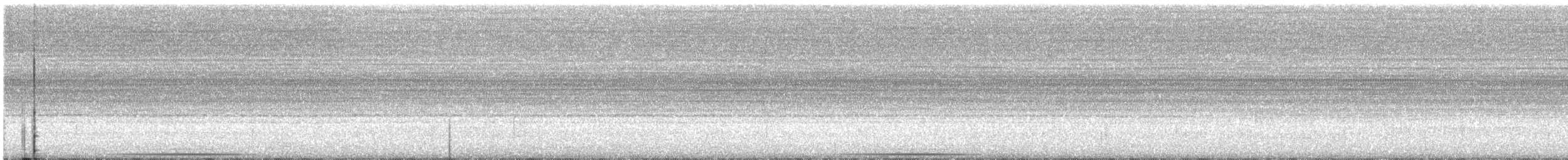 holub šedočelý - ML195295781