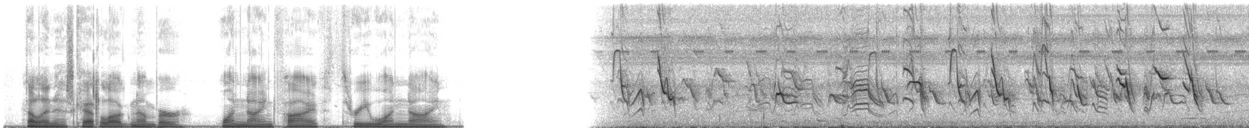 Рисоїд нікарагуанський - ML195319