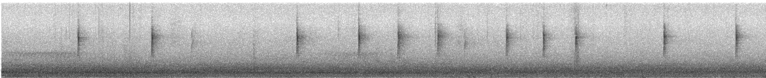 new world warbler sp. - ML195329141