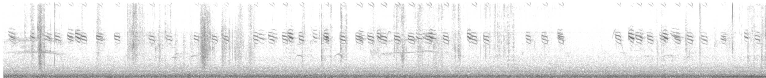 ורדית סיבירית - ML195335521